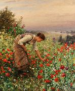 Daniel Ridgeway Knight Girl Picking Poppies Sweden oil painting artist